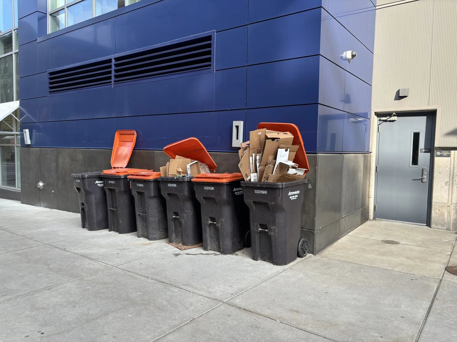 Commercial wheelie bins overflowing with flattened cardboard beside a blue industrial building