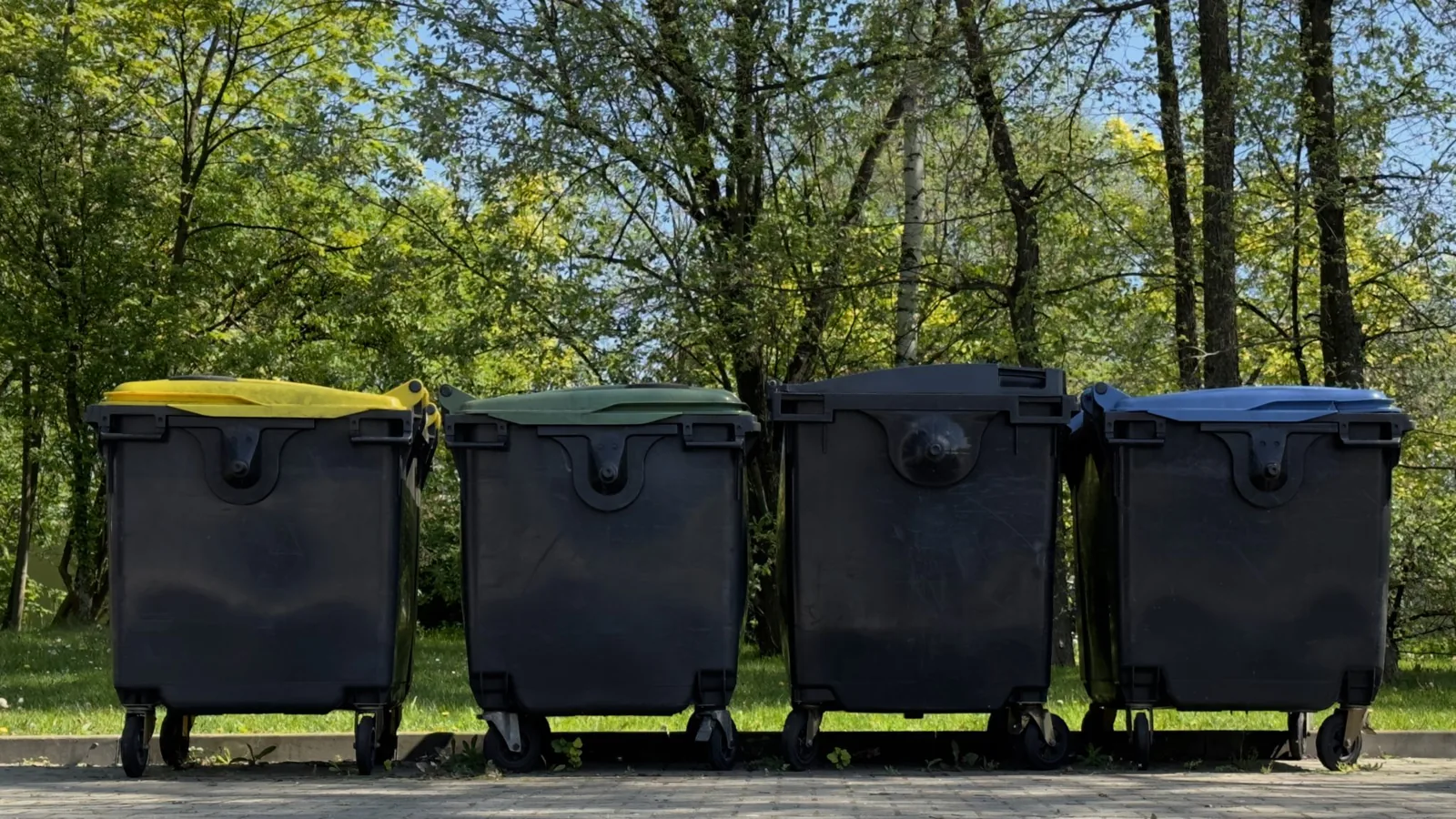 Four large wheeled commercial waste bins standing in a row beside trees