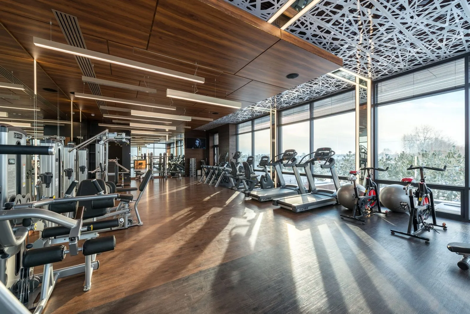 A spotless gym full of treadmills, bikes and weight machines with nobody using them: the AI consultant vs software problem in one picture