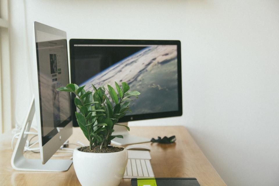 A tidy desk with two computer monitors and a plant, representing invoices arriving as structured data instead of PDFs